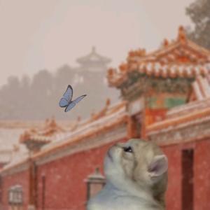 爱围棋女孩(提醒码字版)头像