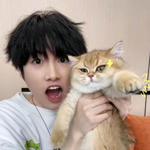 苏豪和大强头像