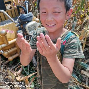 爱拼才会赢为美好的明天加油头像