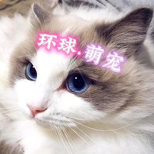 环球.萌宠头像