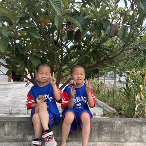 飞飞：晨晨头像