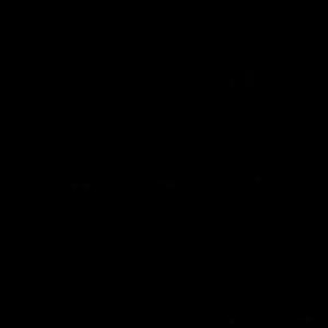 麻辣小龙虾头像