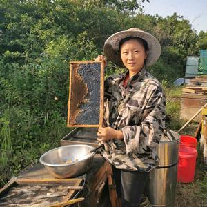 胡楊养蜂场头像