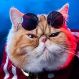 想怎么就怎么一个热爱生活的少女头像