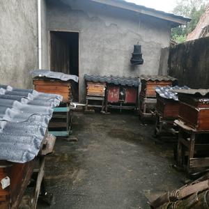 我姓刘   漏油刘头像