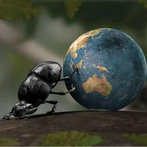 圣林辰农业头像