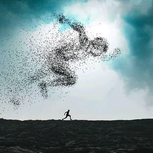 视觉木作☞南烟头像