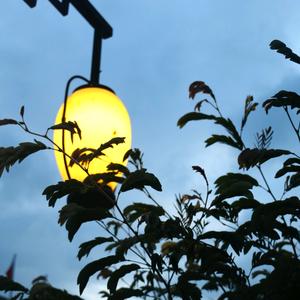 在熬最深的夜头像