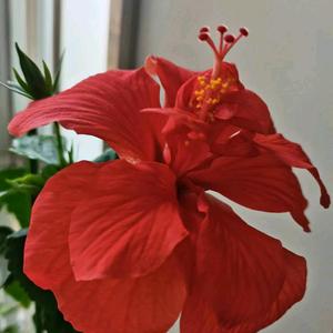 我在北京很想你头像