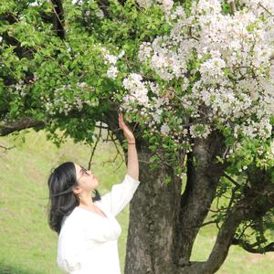 账号已欠费头像