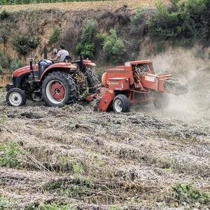 艾条厂家（山西长治）头像