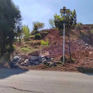 老虎再凶！它也吃不下山！头像