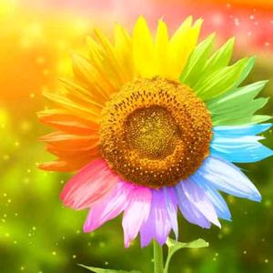 物尽其用🇨🇳☀🌸👑 ♈头像