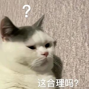 00后勇闯职场头像