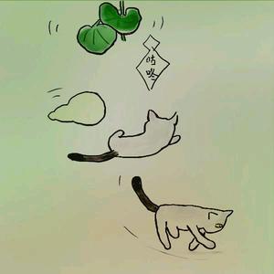 赴宴的猫头像