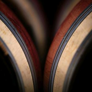 亚特兰蒂斯D头像