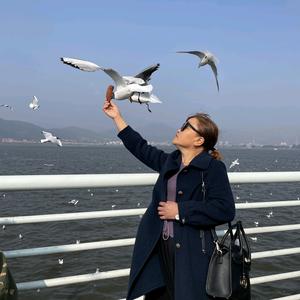 万水千山一条龙服务，红白事、包洒席、头像