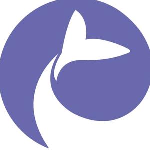 鲸宝集团宁波公司头像