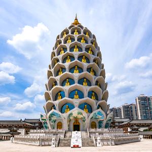 常州金菠萝头像