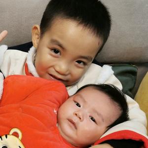 果皮和果肉头像