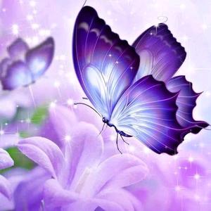 蝴蝶仙子头像