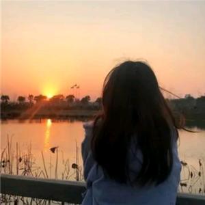 金达运商业思维头像