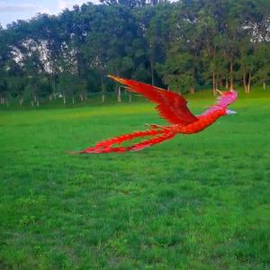 雲天奥龙凤飞行道具头像