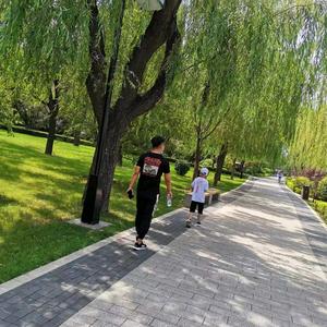 社会事少打听头像