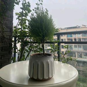 我的世界不在有你头像