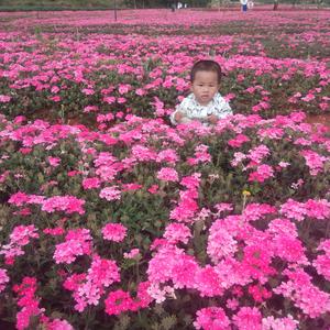 _幸福安康^0^头像