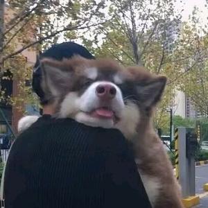 ᰔᩚ挽安 ໌້ᮨ ໌້ᮨꦿ头像