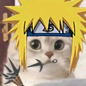 没有名字的阿巴巴头像