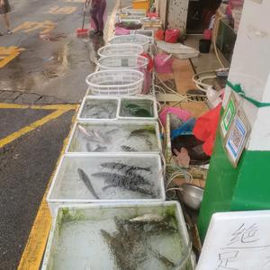 用户5297793607926头像