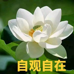 笑笑～笑笑头像