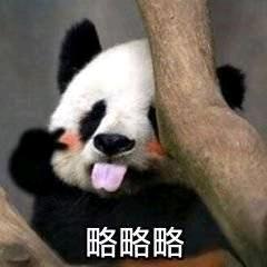 名字只是符号头像