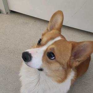 只会说厉害！头像