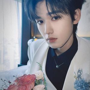 茉莉清茶🐟头像