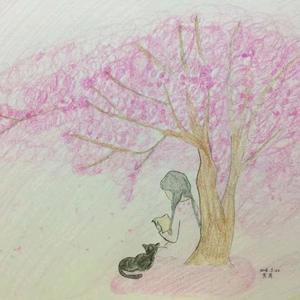 升学规划梁老师头像