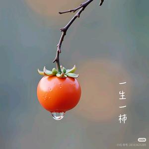 再也不头像