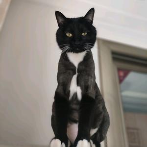 冬天的暖风头像