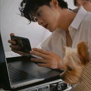 媛兮🔥🦔头像