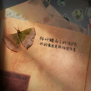 ღ᭄枯叶蝶ღ᭄᭄头像