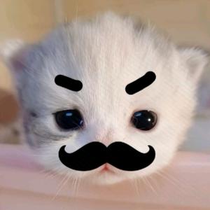 ♚世界上最萌的小忌♛头像