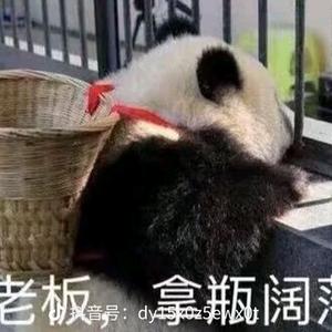吃啥呢给我也来一口头像