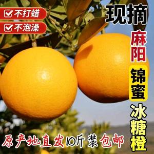 麻阳锦和乐虹果业头像