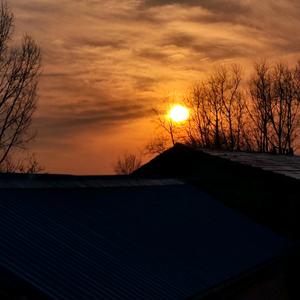 小岛无来信头像