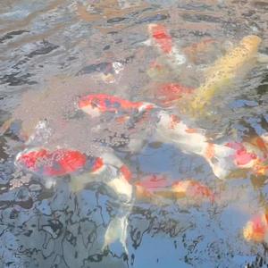 乐乐乐乐乐乐乐乐头像