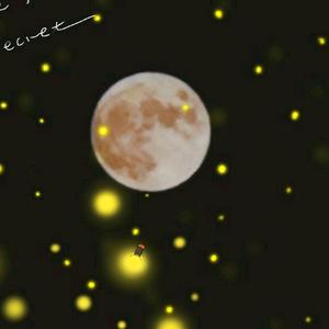 颖🌹媛槿.头像