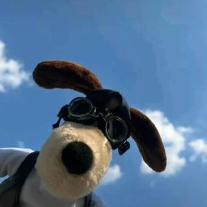 她已经有了别人头像