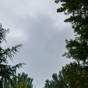 我依然是我的抖音 - 抖音